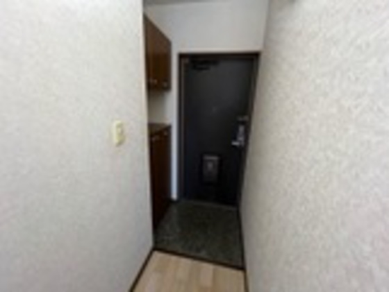 プロニティ マイス