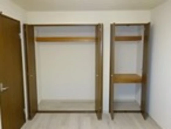 コンフィデンスⅡ