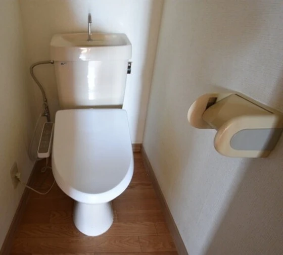 メゾニティーブラッサム A