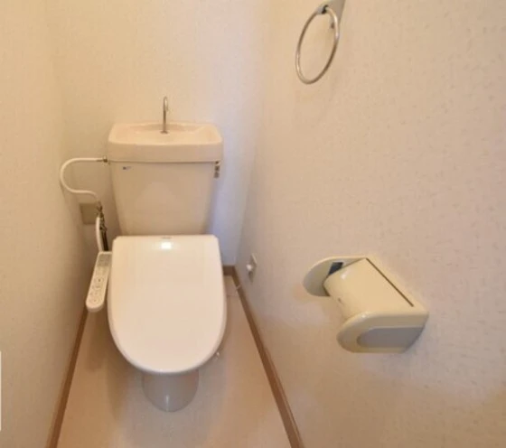 メゾニティーブラッサム B