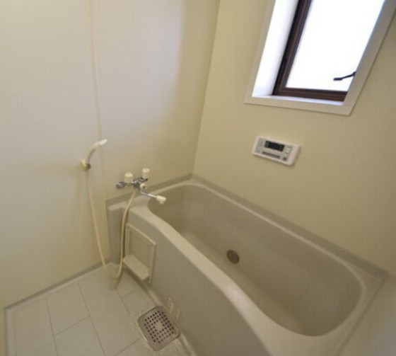 メゾニティーブラッサム B