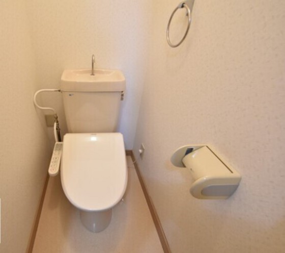 メゾニティーブラッサム B