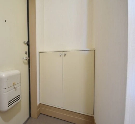 メゾニティーブラッサム B