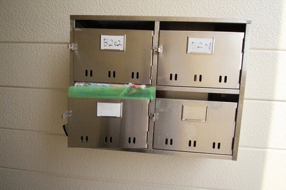 メゾニティーブラッサム B