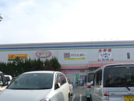 メゾニティーブラッサム D