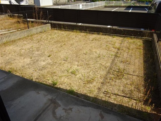 オータム めぐみ