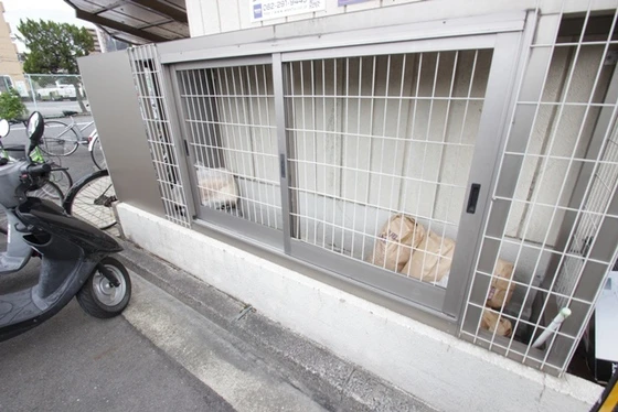 エステート小河内