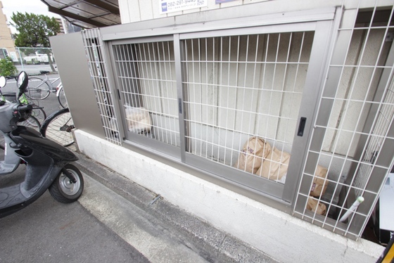 エステート小河内