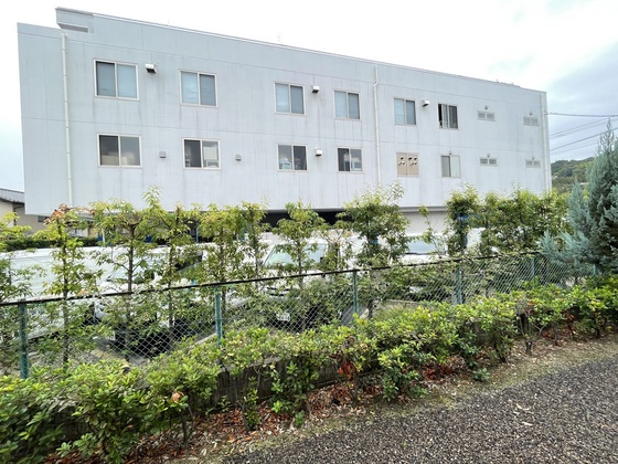 レオパレスGOLD COIN