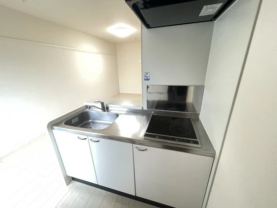 レオネクストクレールⅡ