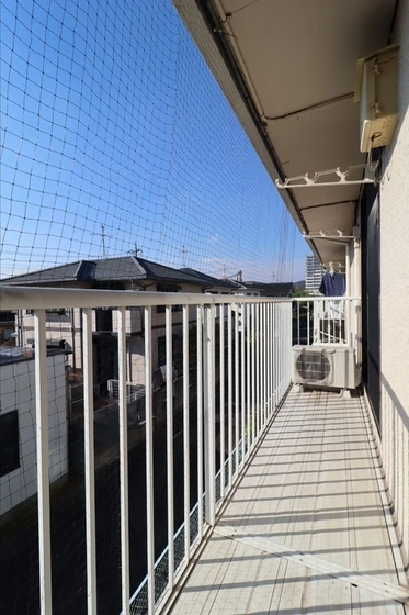 シンフォニー12