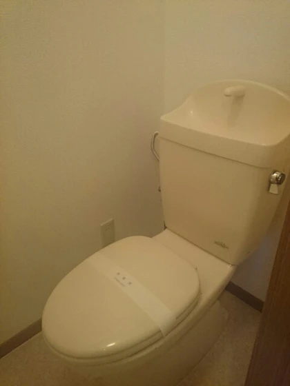 ウィスティリアA