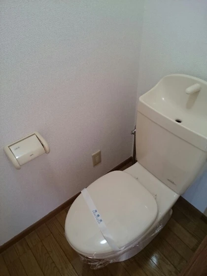 ウィスティリアA