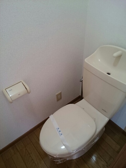 ウィスティリアA