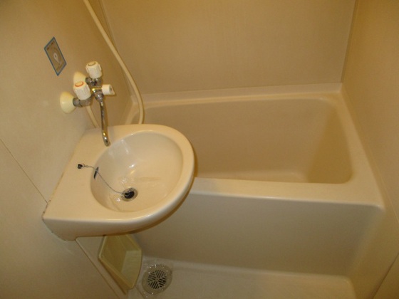 セントフォレスト下中野B