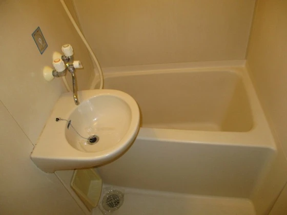 セントフォレスト下中野B