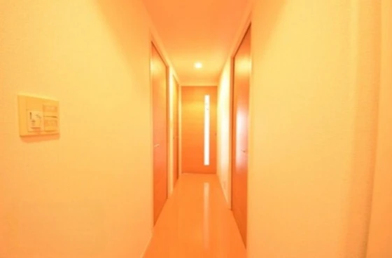 サーパスシティ西古松公園2番館