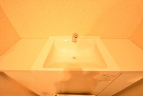 サーパスシティ西古松公園2番館