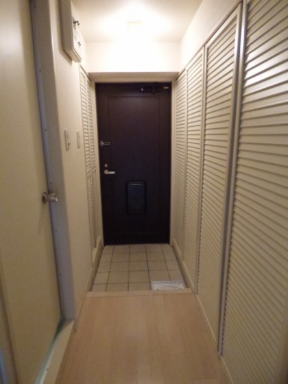 ライオンズマンション京橋川