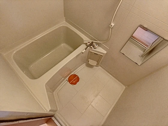 エレガンス大供