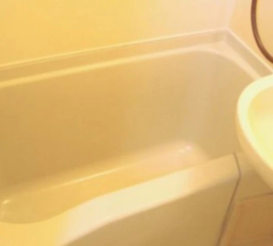 ウッディバード