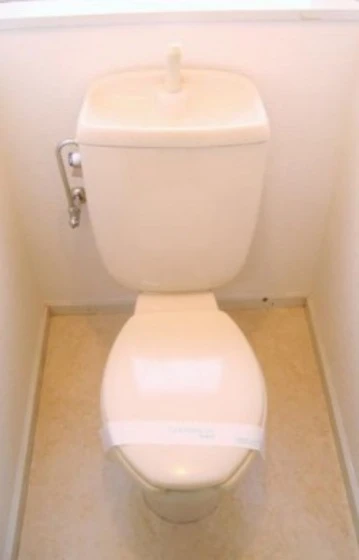 ウッディバード