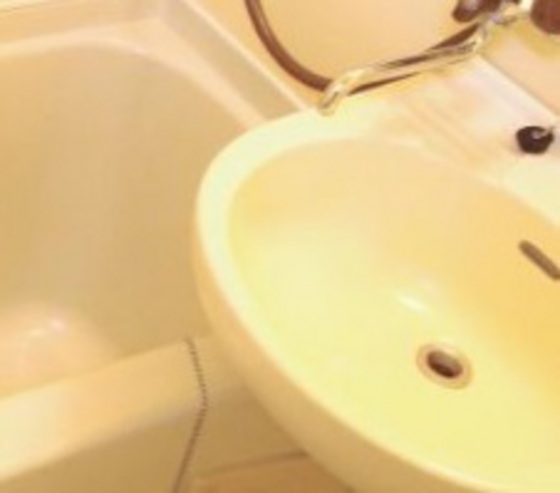 ウッディバード