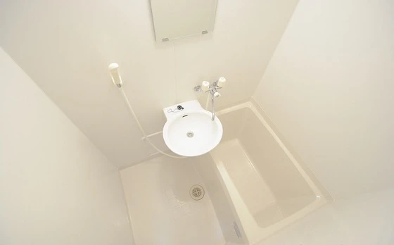 レオパレスコモディタ