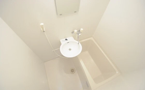 レオパレスコモディタ