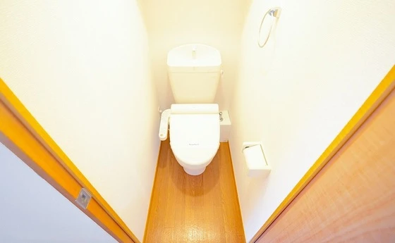 レオパレスコモディタ