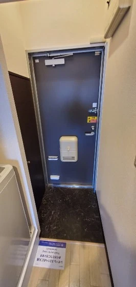 レオパレスコモディタ