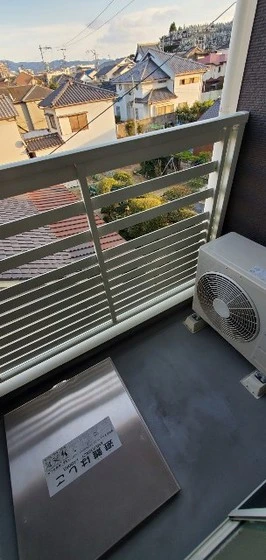 レオパレスコモディタ