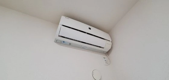 レオパレスコモディタ