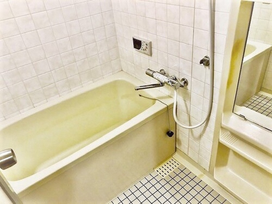 ライオンズマンション岡山内山下