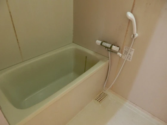 ハイデンスホンダ