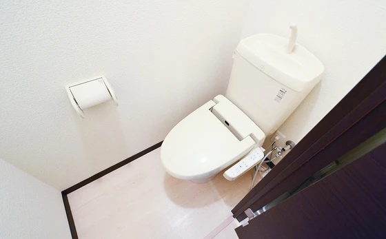 レオネクストプランドール