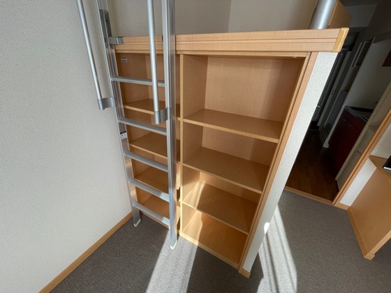 レオパレスCancer