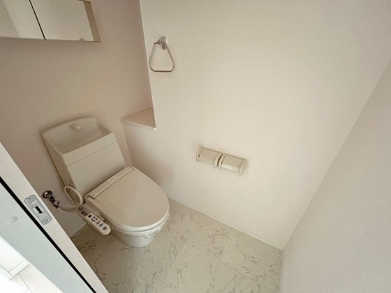 ブリエ ロッシュ U