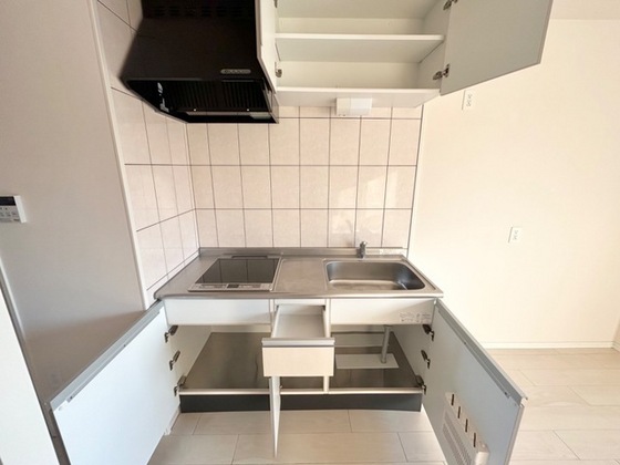 ブリエ ロッシュ U