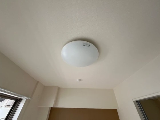 ブリエ ロッシュ U