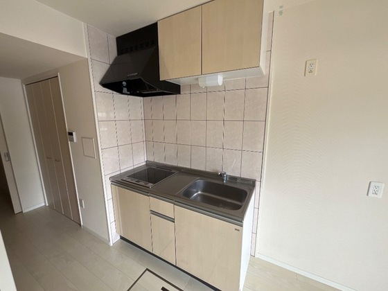 ブリエ ロッシュ U