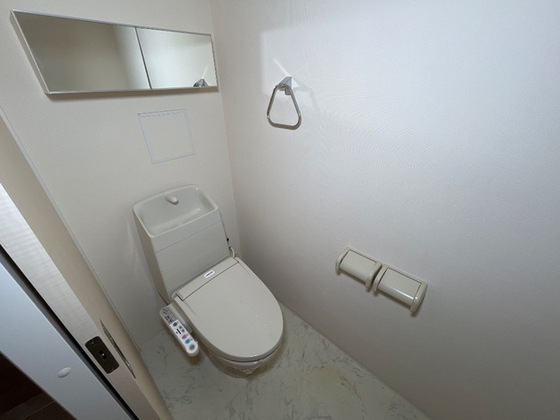 ブリエ ロッシュ U