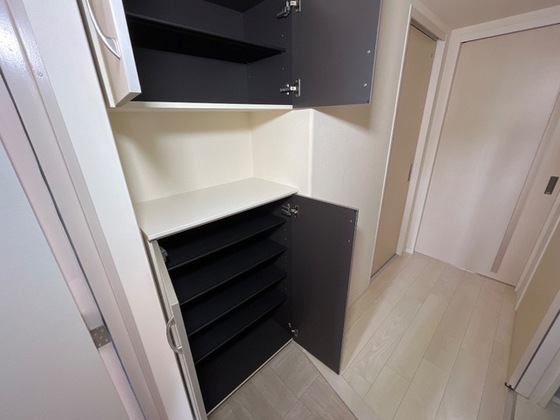 ブリエ ロッシュ U