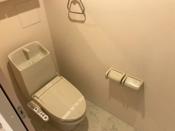 ブリエ ロッシュ U