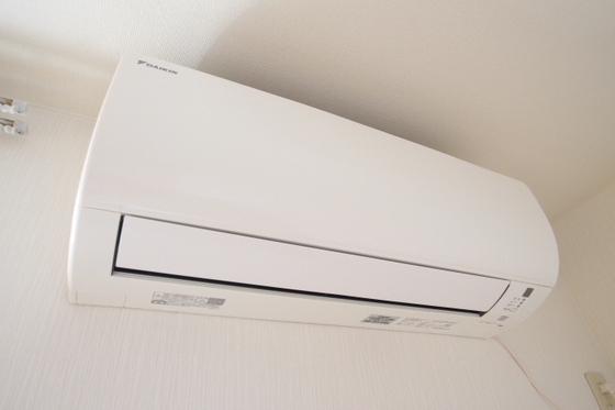 セシーズ兼基 B