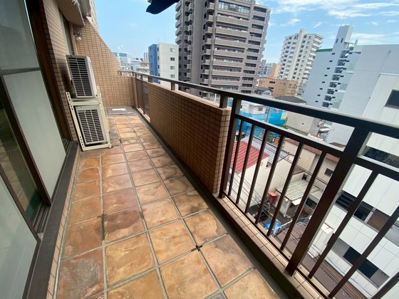 藤グリーンマンション