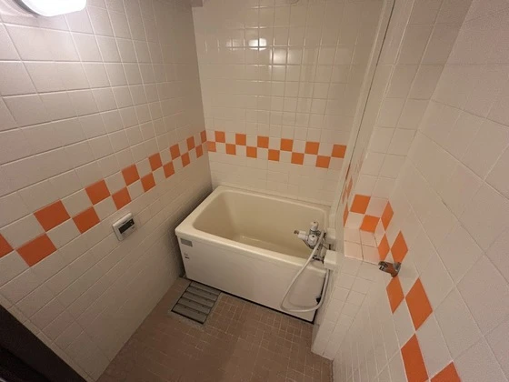 ヴェルデュール己斐