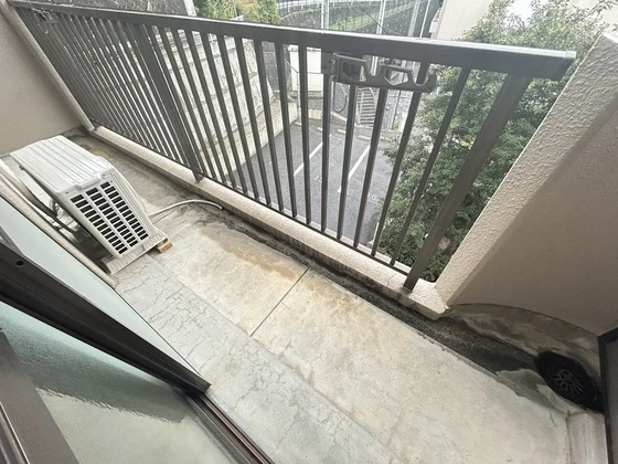 ヴェルデュール己斐