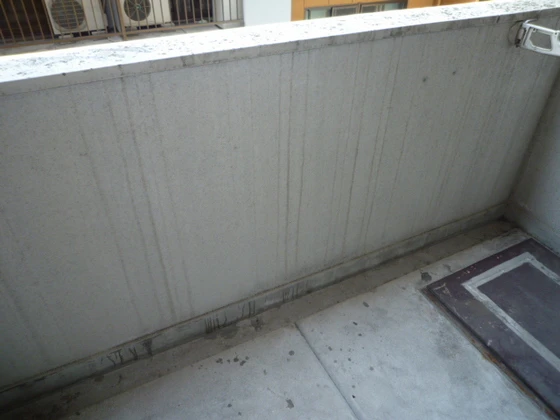 ウィンディア住吉町