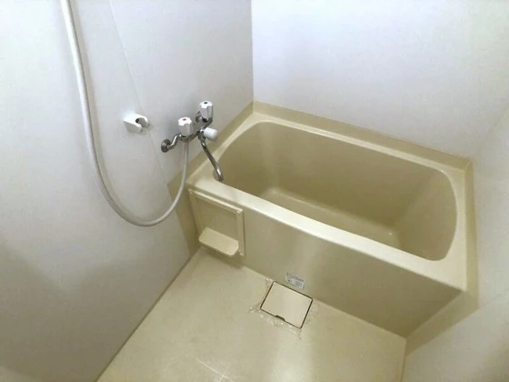 ルミナスライフ